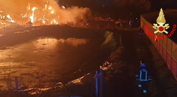 Aprilia, fulmine scatena incendio in un fienile con porcilaia: vigili del fuoco salvano decine di maiali - Il Messaggero