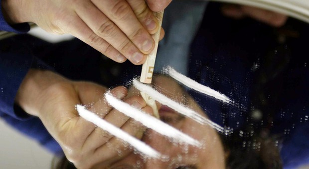 Referendum cannabis, le motivazioni sulla bocciatura del quesito: «Possibile estrarre anche droghe pesanti come la cocaina»