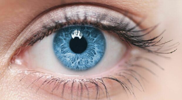 Occhi azzurri, chi li possiede condivide lo stesso (unico) antenato sulla Terra