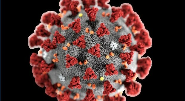 Covid e Hiv, nuovi studi: i due contagi nello stesso paziente potrebbero generare varianti del Coronavirus