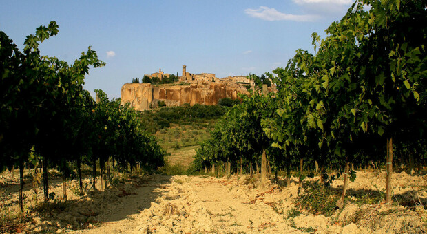 "Umbria in anteprima" eventi dedicati al mondo del vino. Insieme i Consorzi di Montefalco, Orvieto, Trasimeno e Torgiano