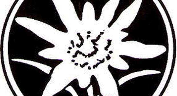 Il logo SVP