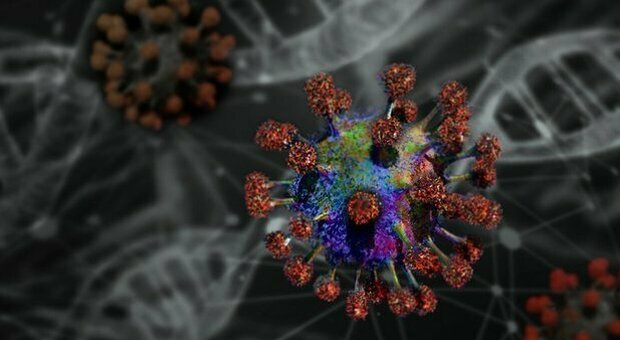 Nuovo coronavirus scoperto nei pipistrelli in Asia. «Codice genetico condiviso al 91% con Sars-CoV-2»