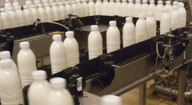 Rieti, coronavirus, pronto bando da 5 milioni per il settore latte