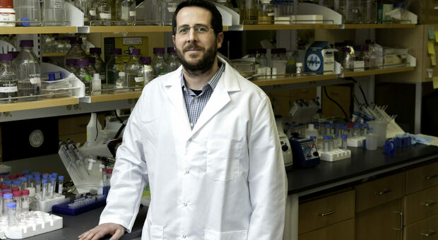 Il biologo Jason McLellan (foto Università di Austin, Texas)