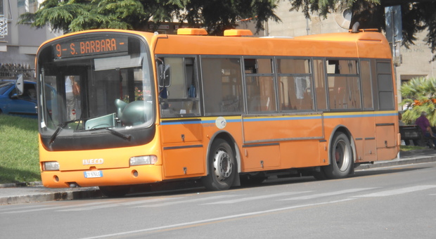 Un autobus Francigena a Viterbo