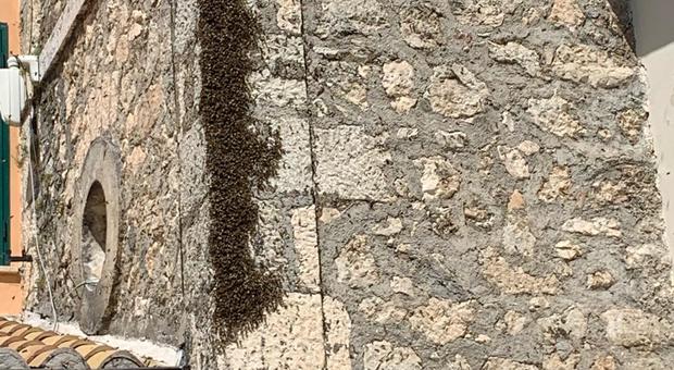 Le api al santuiario della Madonna di Pietraquaria di Avezzano
