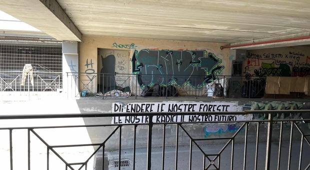 Street art per la rigenerazione urbana, l’ambiente e la solidarietà. A Rieti arriva il progetto Forever Green