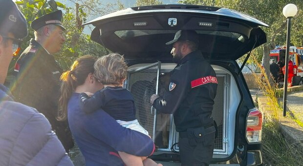 Ritrovato il bambino di 3 anni scomparso oggi a Nerano, un volontario lo ha sentito piangere