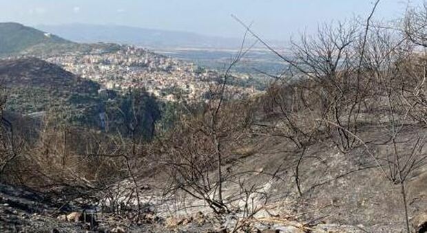 Incendi, Cdm vara lo stato di emergenza per quattro Regioni: aiuti per Sicilia, Sardegna, Molise e Calabria