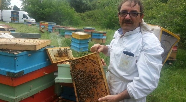 A Tornarecci, per aumentare la qualità di miele e api scatta la transumanza in Puglia