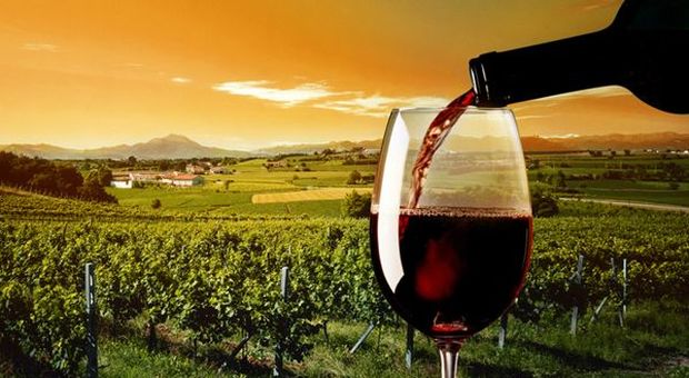 Italia-Cina: vino traina export agroalimentare, vale quasi il 30%