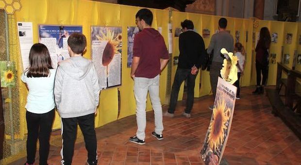 Chiusa a Orvieto la mostra dedicata alle api. Oltre 85mila i visitatori