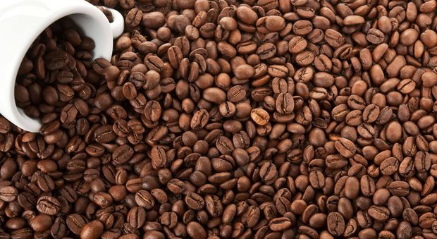 Fegato, cuore, sistema nervoso: tutti i benefici del caffè, ma bastano tre tazzine al giorno