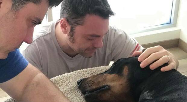 Tiziano Ferro piange la perdita di Beau: «Adottate un cane se potete»