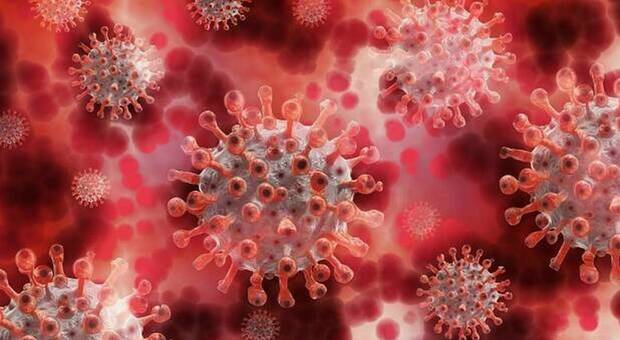 Omicron meno letale perché i virus si indeboliscono con il tempo? Ecco perché la teoria di Smith è falsa