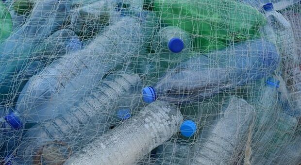 Plastica, allarme WWF: costo destinato a raddoppiare