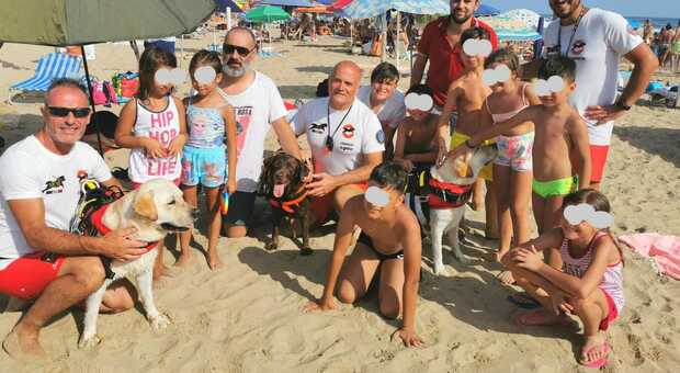 Cani eroe a Sperlonga, in tre salvano 8 bambini e 6 adulti: erano finiti a 100 metri dalla riva