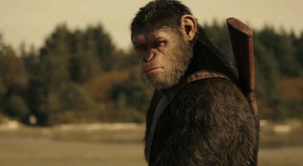 Stasera in tv, oggi giovedì 2 dicembre su Italia 1 «The War - Il pianeta delle scimmie»: curiosità e trama del film con Judy Greer