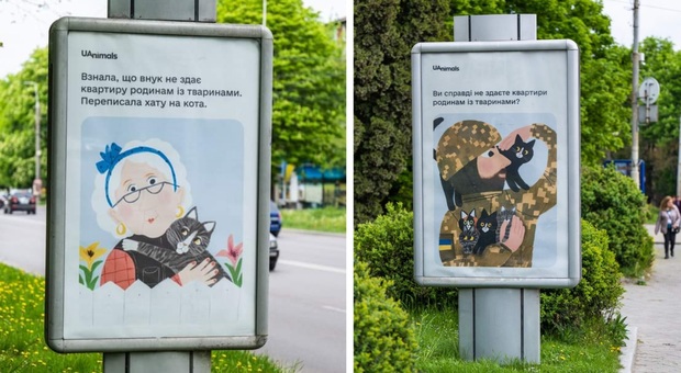 Alcuni dei cartelli comparsi nelle città ucraine (immag diffuse da UAnimals)