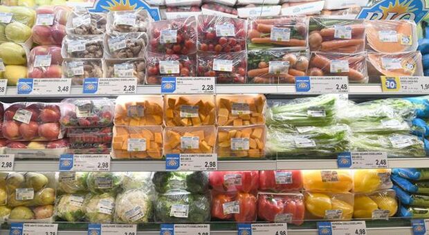 Altroconsumo, pari a 209 euro la spesa mensile media nei supermercati: trionfa ancora lo store fisico