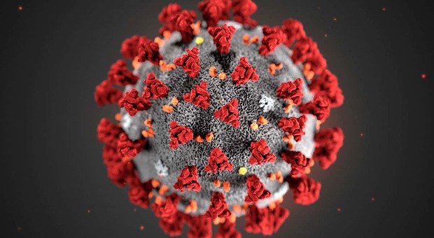Coronavirus, le folli terapie anti-covid: polvere da sparo con miele e liquirizia. Le richieste respinte dall'Aifa