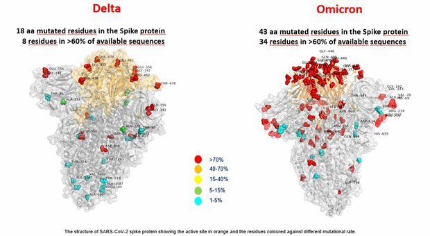 Omicron, «fine della pandemia vicina»: la previsione degli scienziati americani e sudafricani