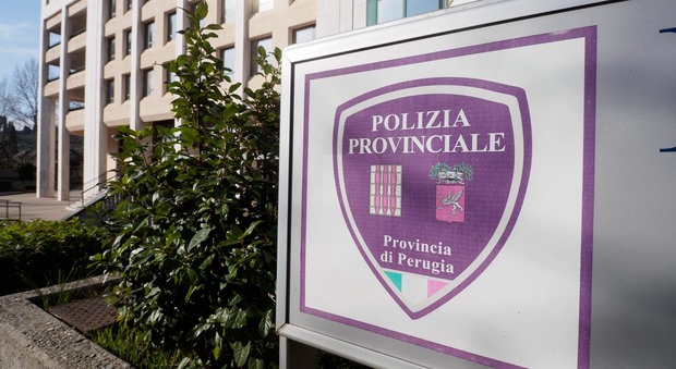 Perugia «A casa ho mobili rubati in Provincia»