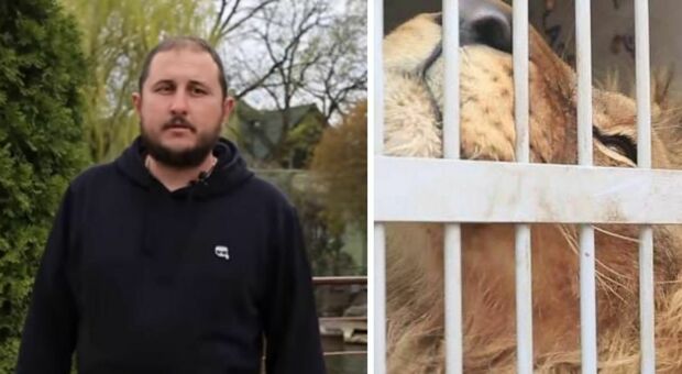 Kharkiv, uccisi due dipendenti dello zoo rimasti per accudire gli animali. «Chi ha fatto questo è disumano»