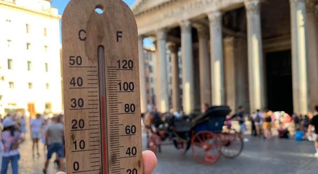 Roma, il termometro segna 36 gradi ma le botticelle non si fermano: la denuncia dell'ecologista
