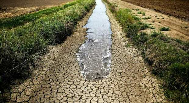 Siccità, il Viterbese trema: cresce la paura di un razionamento dell'acqua