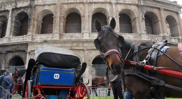Botticelle a Roma, gli animalisti: «Disattese le promesse della giunta Raggi»