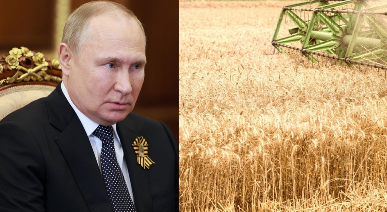 Putin, el plan secreto para deshacer las sanciones.  Profesor de la Universidad de Yale: Quiere una hambruna mundial