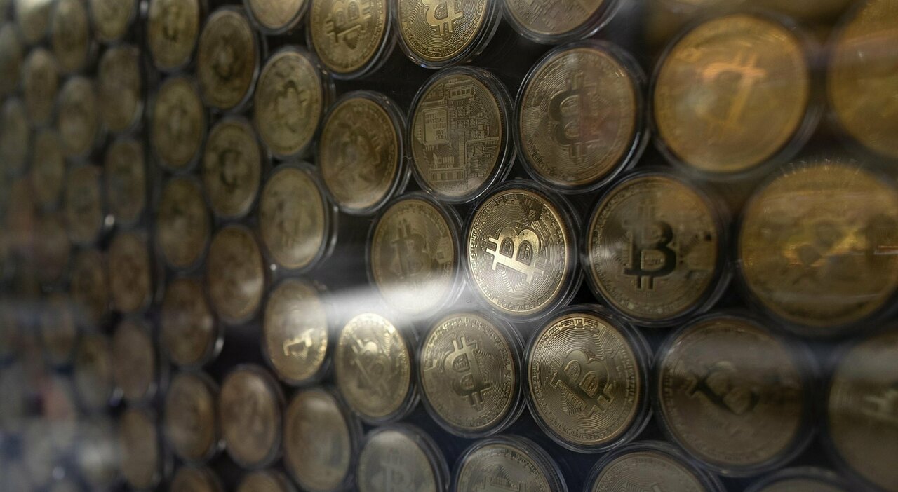 I fratelli sudafricani scappano con 3,6 miliardi di dollari in bitcoin - IT Atsit