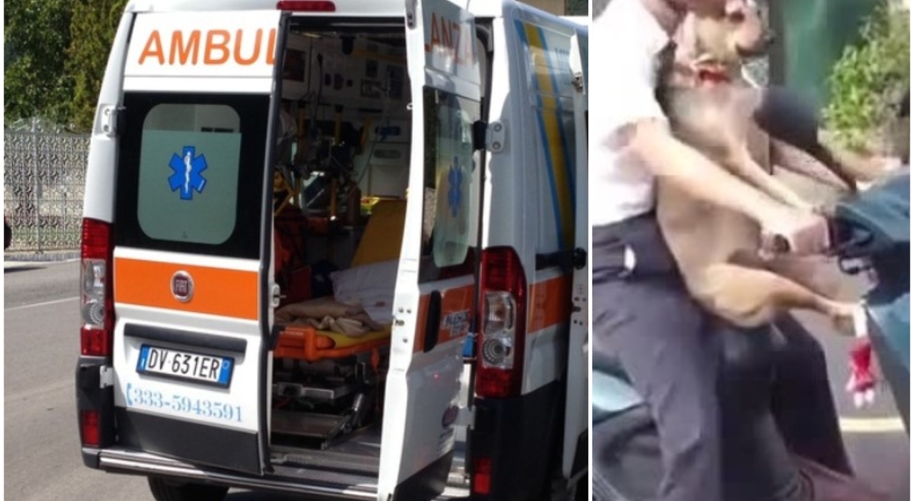 Napoli, 45enne in scooter con il cane si scontra con un'auto: uomo e animale entrambi morti