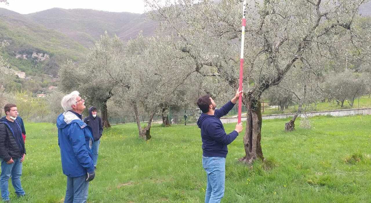 All'Agraria lezioni di orienteering e potatura: successo per l'intervento di Giorgio Pannelli