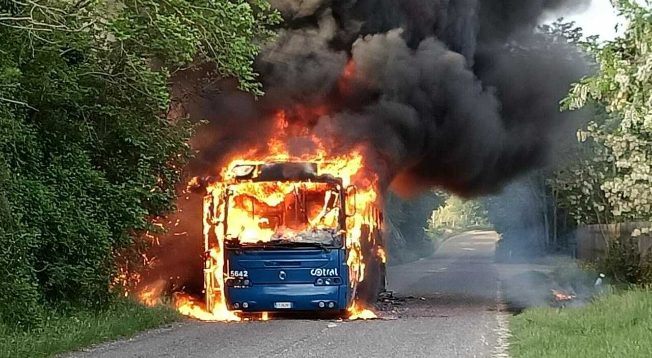 Cottanello, Bus Cotral in fiamme sulla via Finocchieto. Nessun ferito