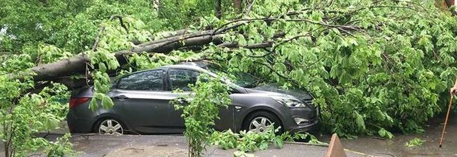 Tempesta su Mosca, alberi abbattuti: 11 morti e 69 feriti