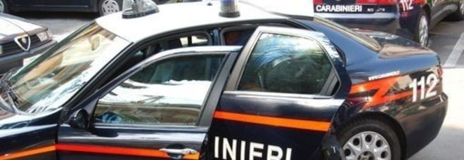 Umbertide, cagnolino mette in fuga i ladri con la maschera di Berlusconi
