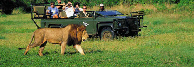 Schianto in fuoristrada durante il safari: turista italiana muore in vacanza in Kenya