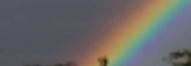 Ecco gli arcobaleni più belli del 2013 ritratti dal fotografo naturalista Paul Goldstein