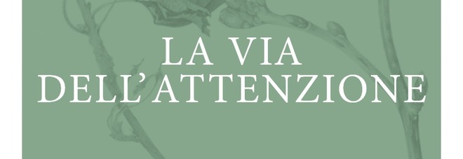 La mostra «La via dell'attenzione» di Lucilla Carcano sarà esposta a Roma nel mese di febbraio