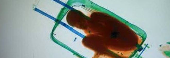 Ceuta, bimbo nascosto nel trolley per passare la frontiera: scoperto al passaggio sotto lo scanner
