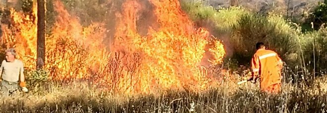 Incendi Sicilia, a Enna le fiamme minacciano le case: famiglie evacuate