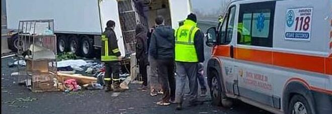 Camion di cuccioli ribaltato in autostrada: è vivo il terzo steffettista Alessandro Porta