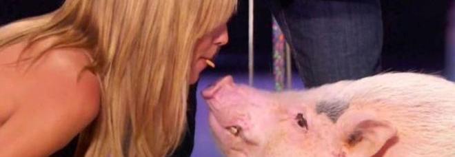 Heidi Klum bacia un maialino sul palco: «Ho già incontrato tipi come lui» Foto