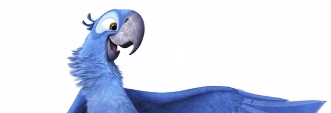 Estinto in natura il pappagallo blu di "Rio", addio all'ara di Spix