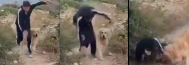 Gianni Morandi, brutta caduta mentre fa jogging con il cane IL VIDEO