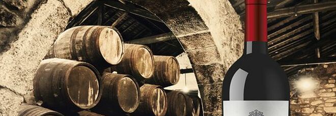Italian Wine Brands, ricavi 2021 raddoppiati grazie ad acquisizione Enoitalia