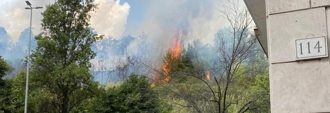 Incendio alla Balduina, le fiamme nella riserva naturale di Monte Ciocci